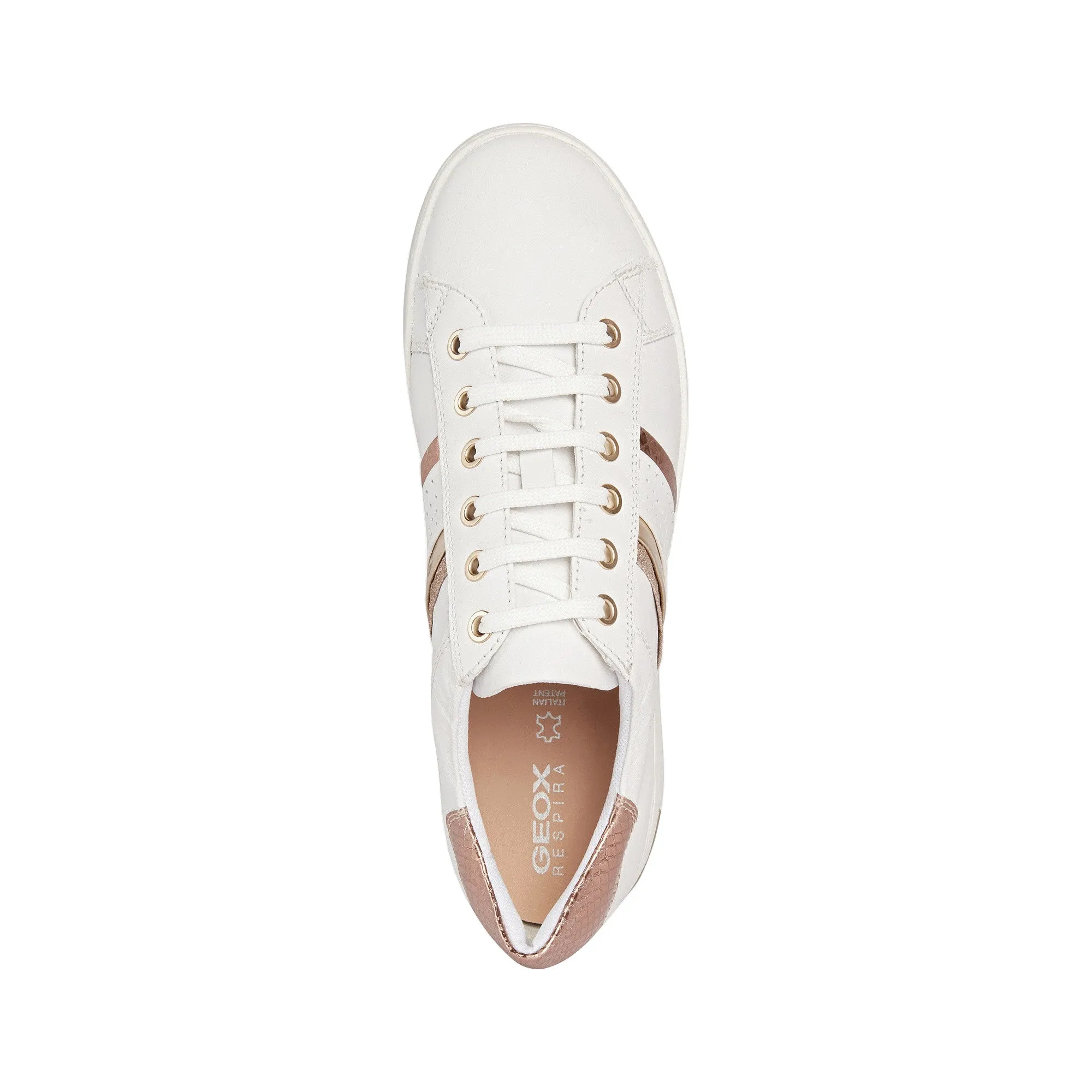 Geox Jaysen Ladies Rose Gold Trim Sneaker