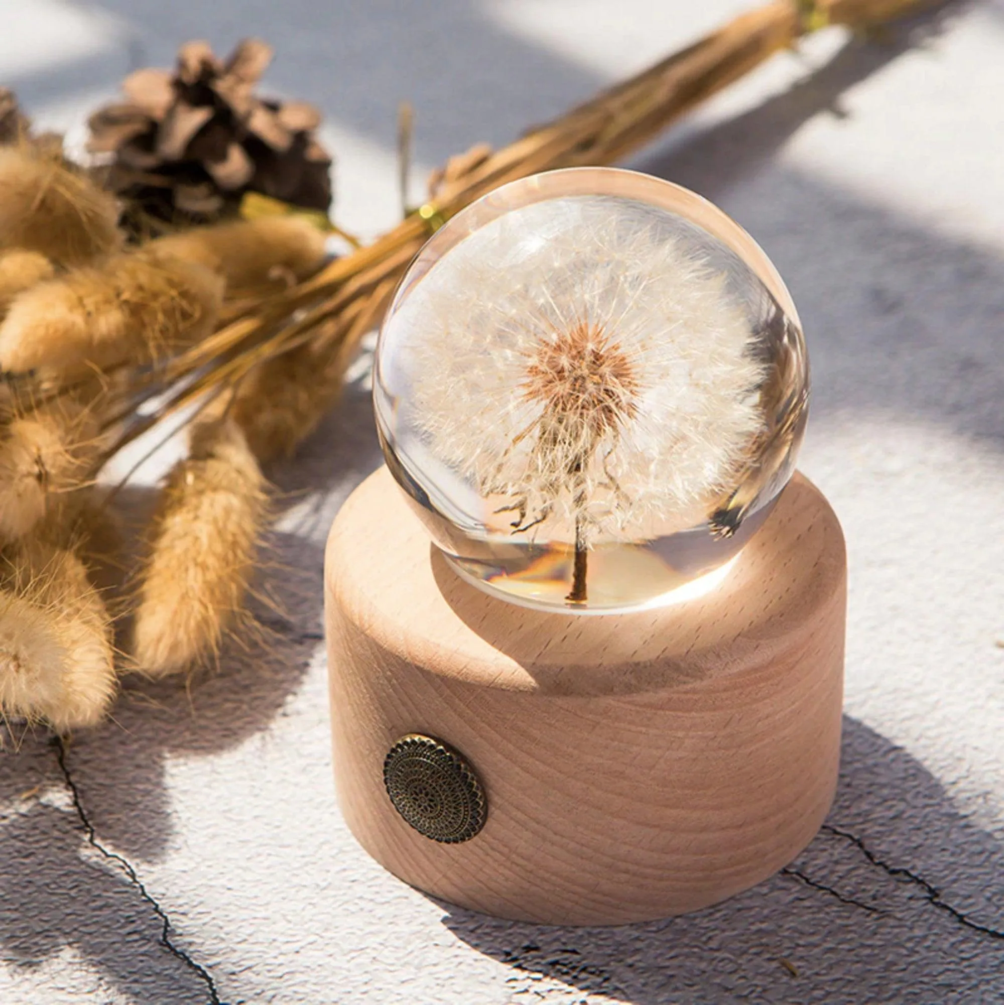 Real Dandelion Crystal Ball 70mm