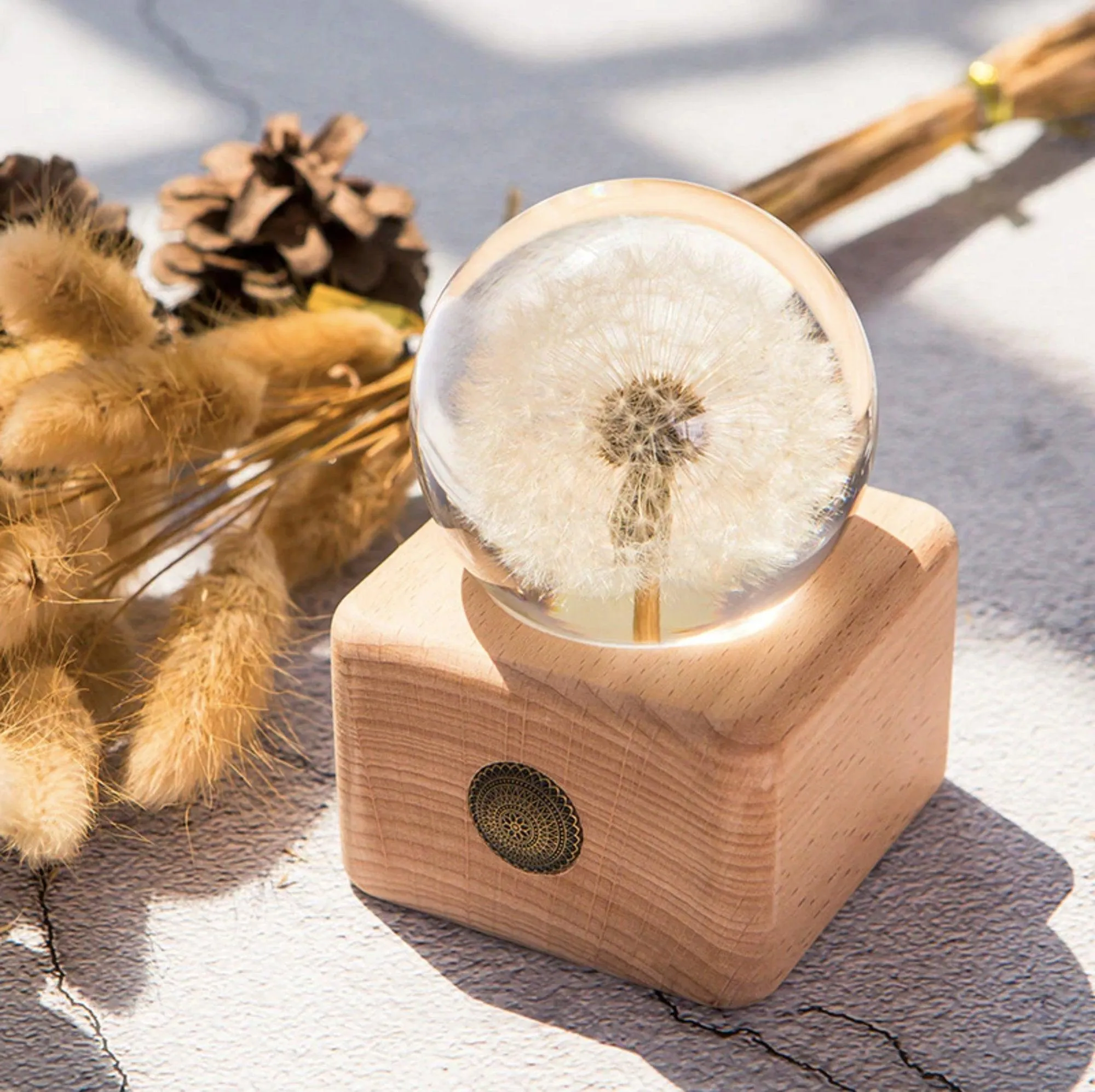 Real Dandelion Crystal Ball 70mm
